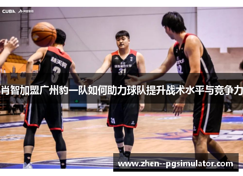 肖智加盟广州豹一队如何助力球队提升战术水平与竞争力