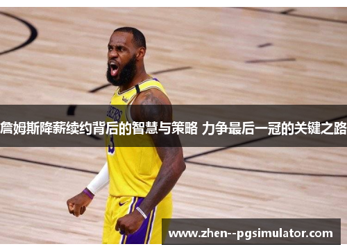 詹姆斯降薪续约背后的智慧与策略 力争最后一冠的关键之路 詹姆斯降薪续约背后的智慧与策略 力争最后一冠的关键之路
