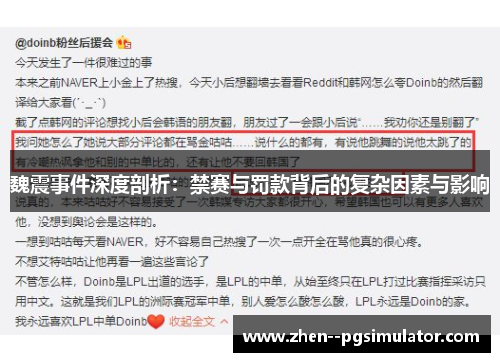 魏震事件深度剖析：禁赛与罚款背后的复杂因素与影响