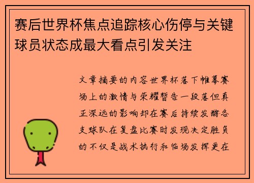 赛后世界杯焦点追踪核心伤停与关键球员状态成最大看点引发关注